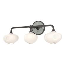 Hubbardton Forge 201342-SKT-14-82-FD0710 - Ume 3-Light Curved Arm Bath Sconce